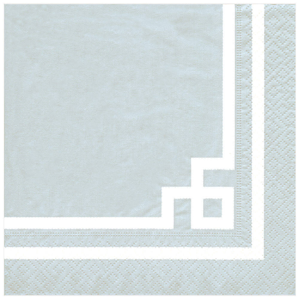 Paper Dinner Napkins 20pk U901