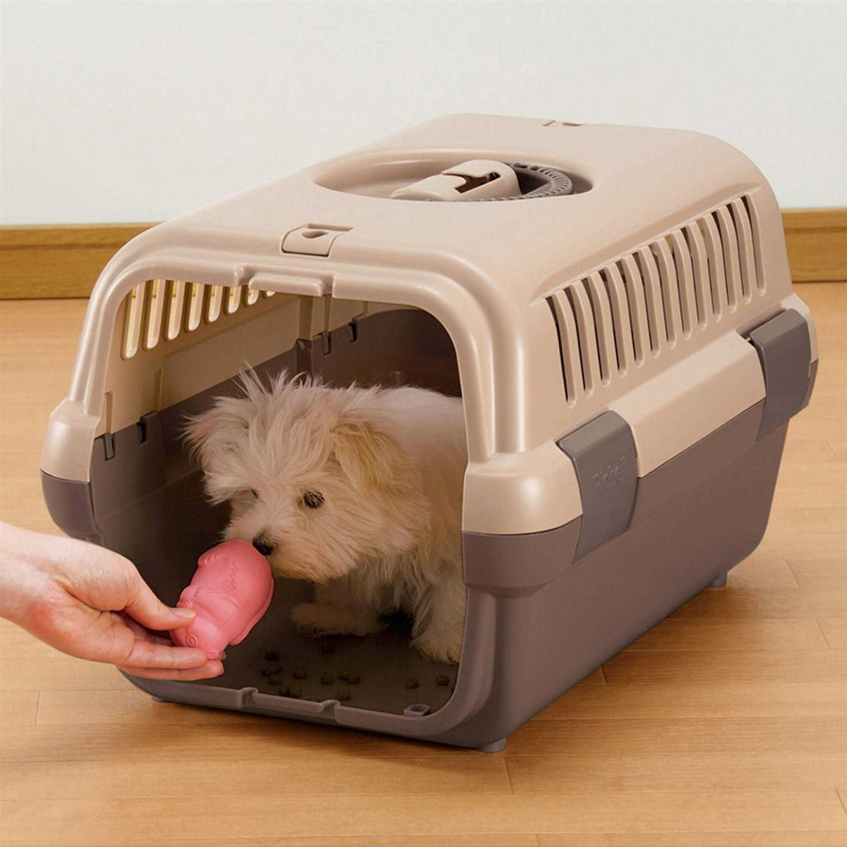 Pet Travel Carrier Y637