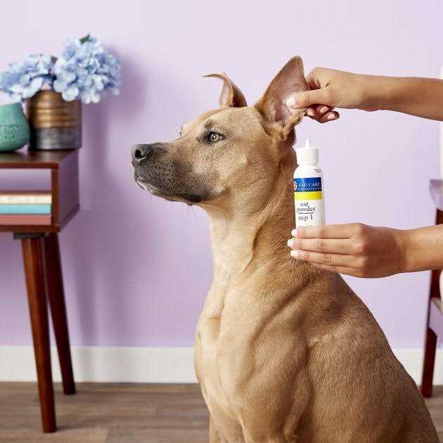 Ear Powder S32469
