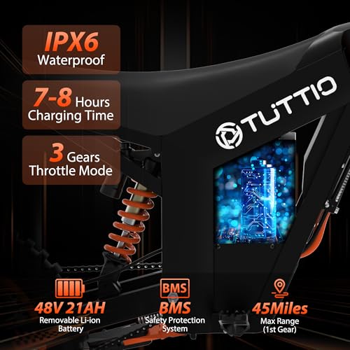 14"/12" Fat Tire 2000W Electric Dirt Bike with 48V 21AH Battery H153