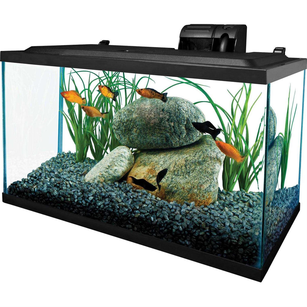 10 Gallons Glass Aquarium F1351