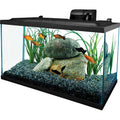 10 Gallons Glass Aquarium F1351