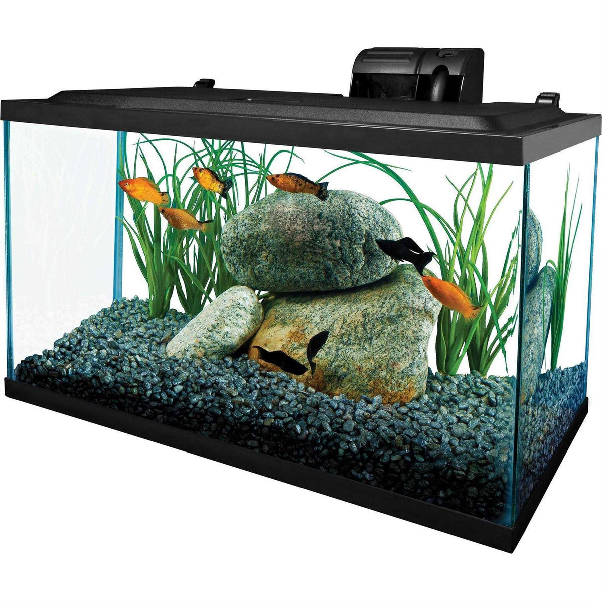10 Gallons Glass Aquarium F1351