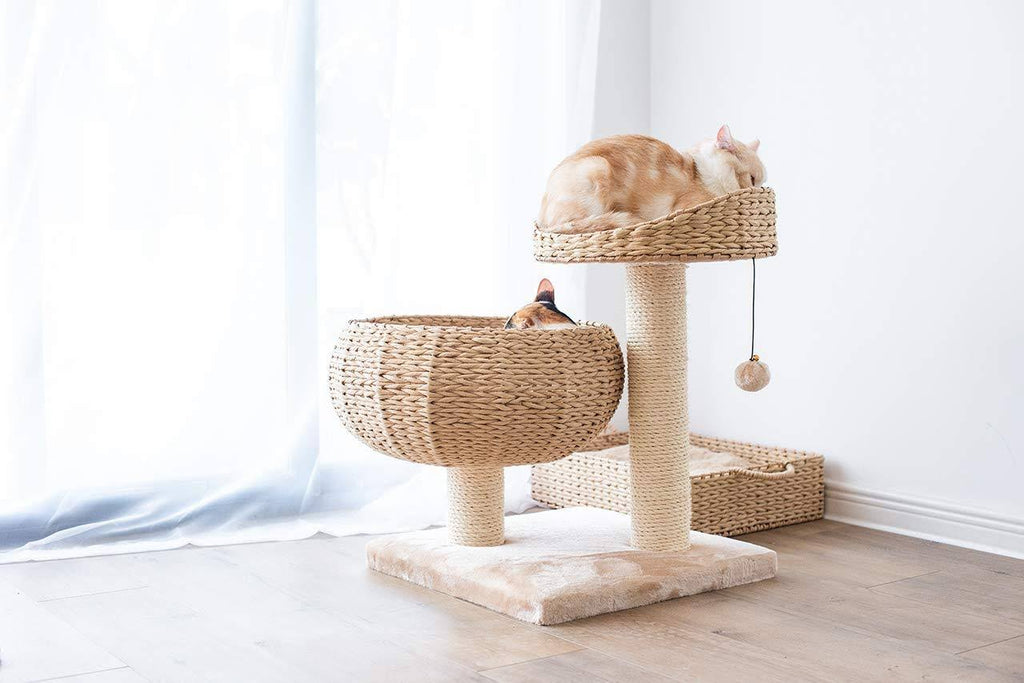 Cat Perch S600