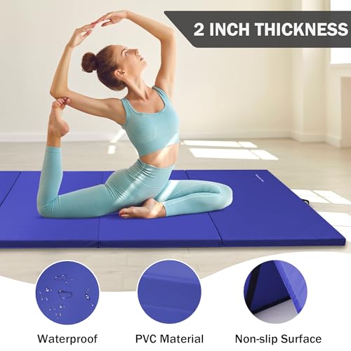 Blue 4'x8'x2" Extra Thick Gymnastics Mat L653997