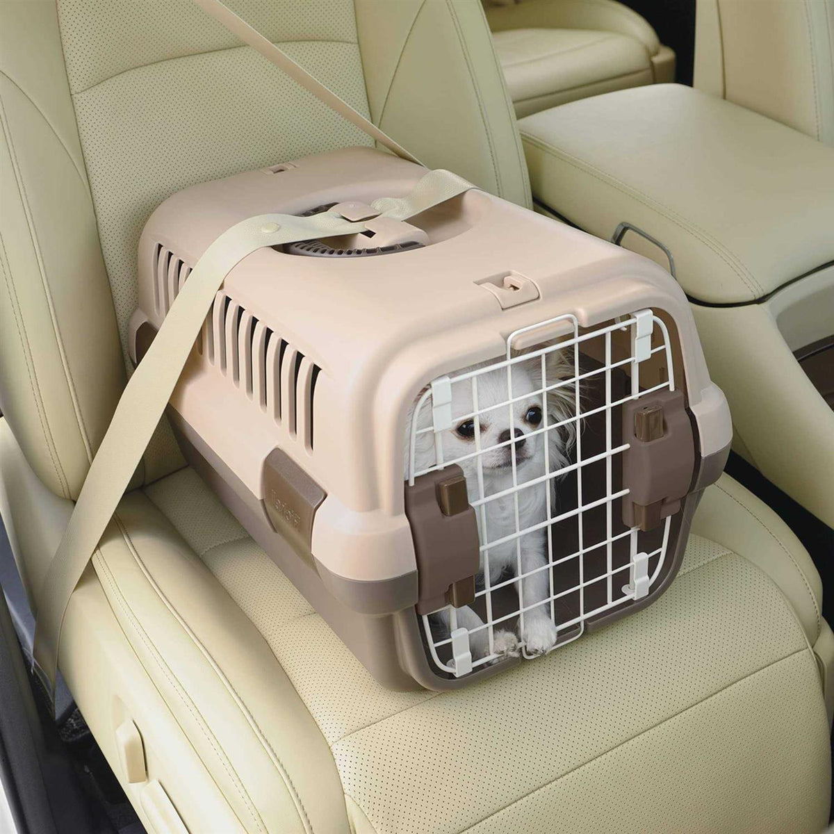 Pet Travel Carrier Y637