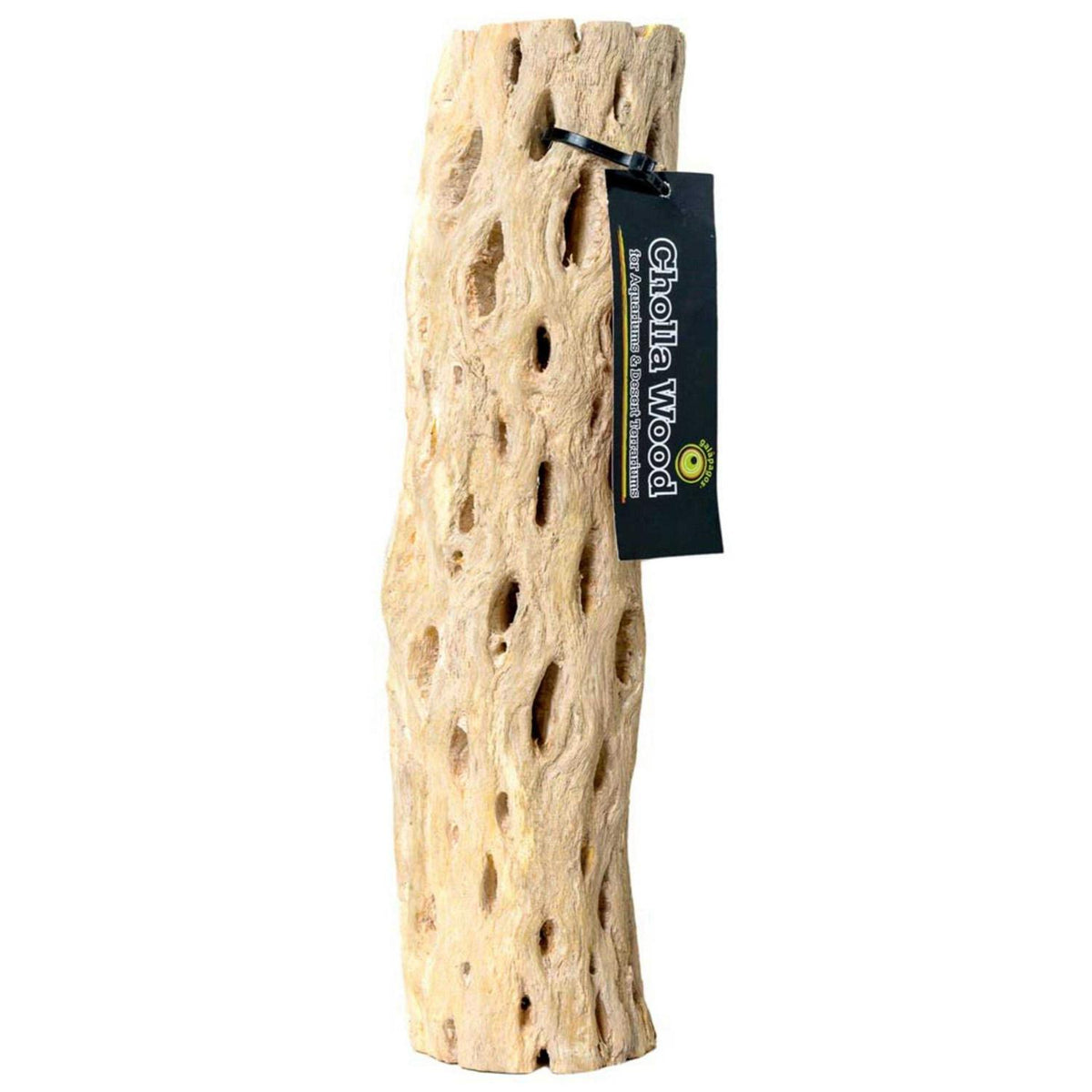 Cholla Wood F98725