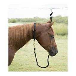 Neck Collar M31331