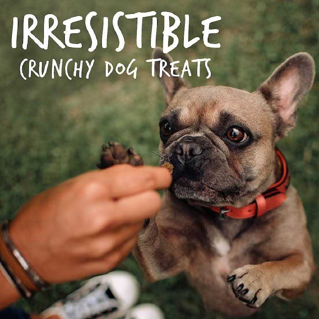 Crispy Bacon Apple Dog Treats F9352