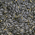 50 lbs Black Oil Sunflower Wild Bird Feed O357