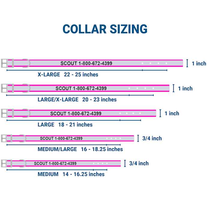 Adjustable Personalized Dog Collar G485