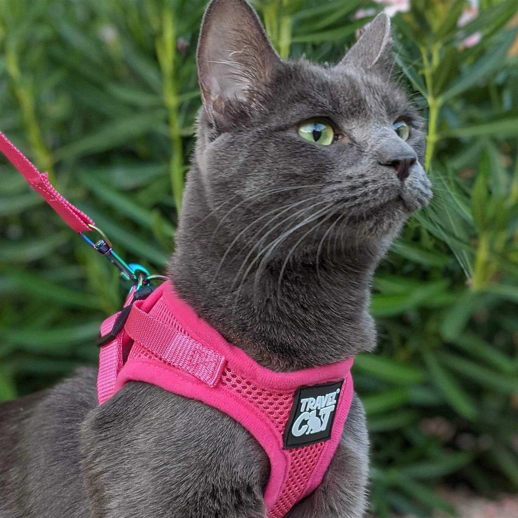 Reflective Cat & Kitten Harness and Leash V46009