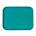 Plastic Fast Food Tray Teal H75354