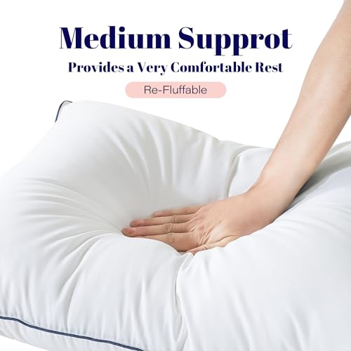 King Size 2 Pack Goose Feather and Down Bed Pillow, 20x36 Inches W62078