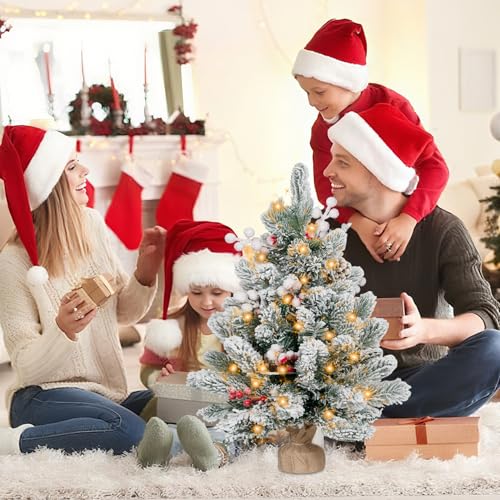 Flocked Artificial Mini Christmas Tree with Lights and Ornaments F534