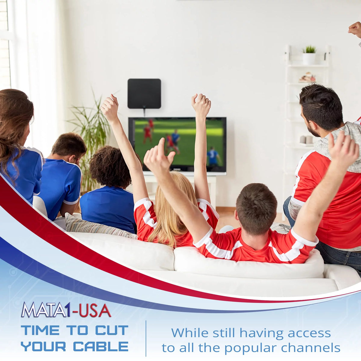 HDTV Indoor Antenna with 16.5 ft Coax Cable F80345