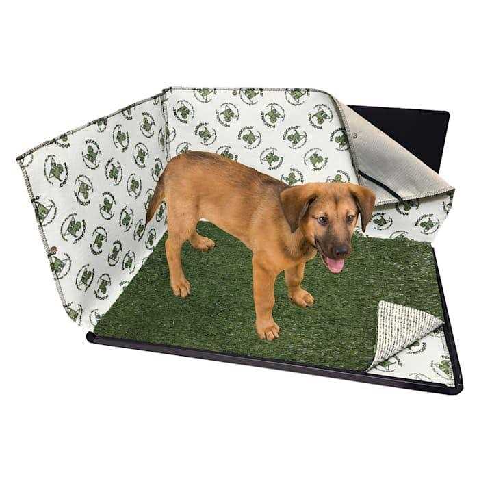 Indoor Dog Potty B1260