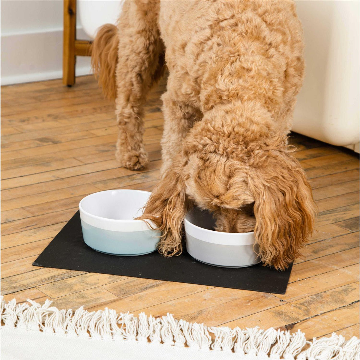 Ceramic Dog Bowl P8197