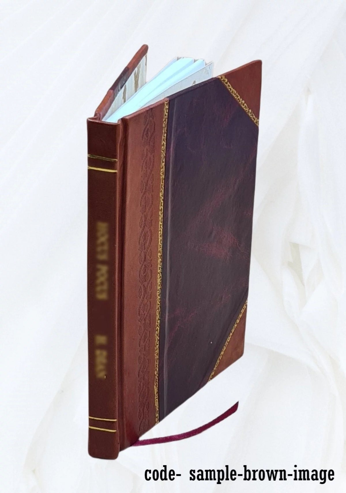 Leather Bound I678