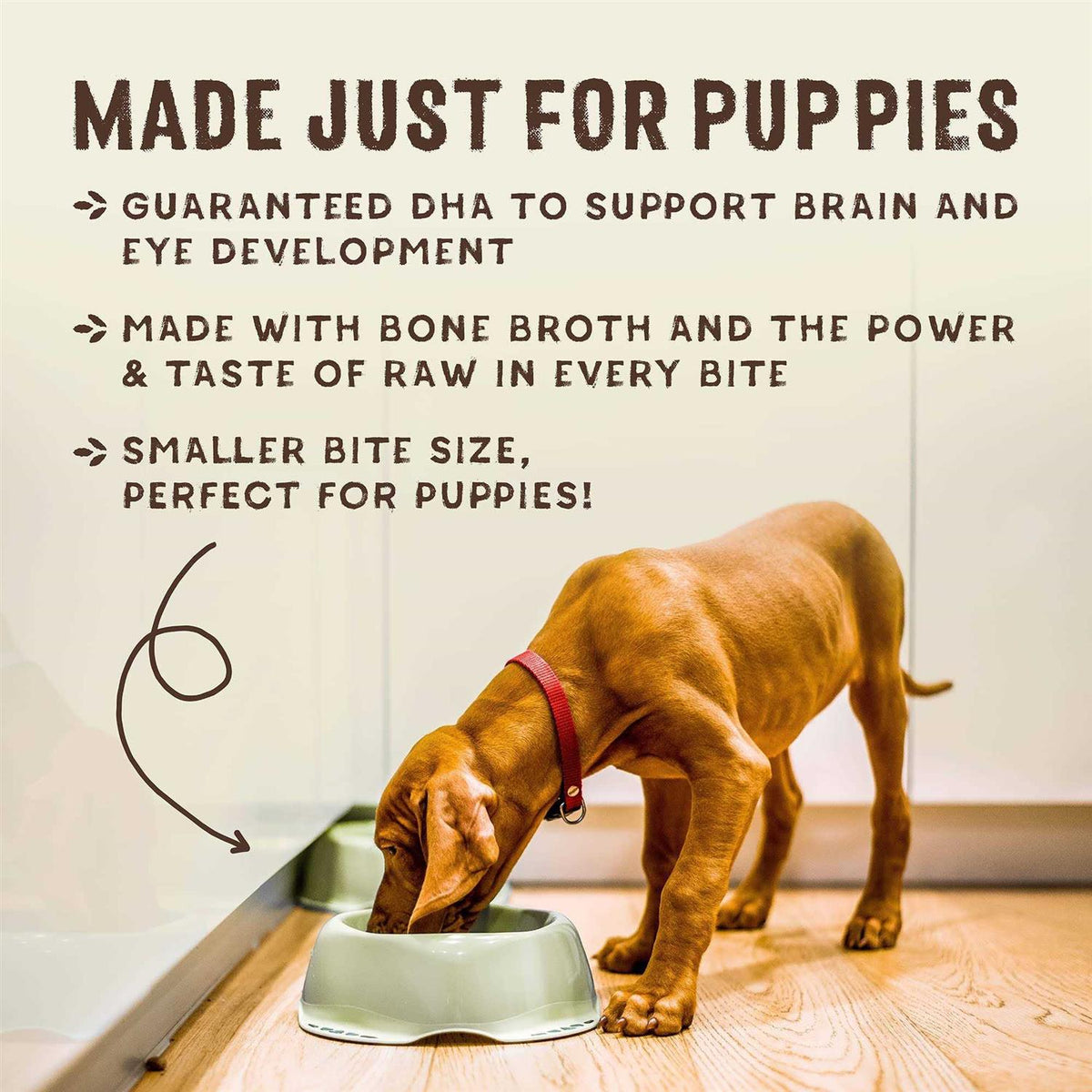 Cage Free Chicken & Wild Caught Salmon Puppy Recipe S348