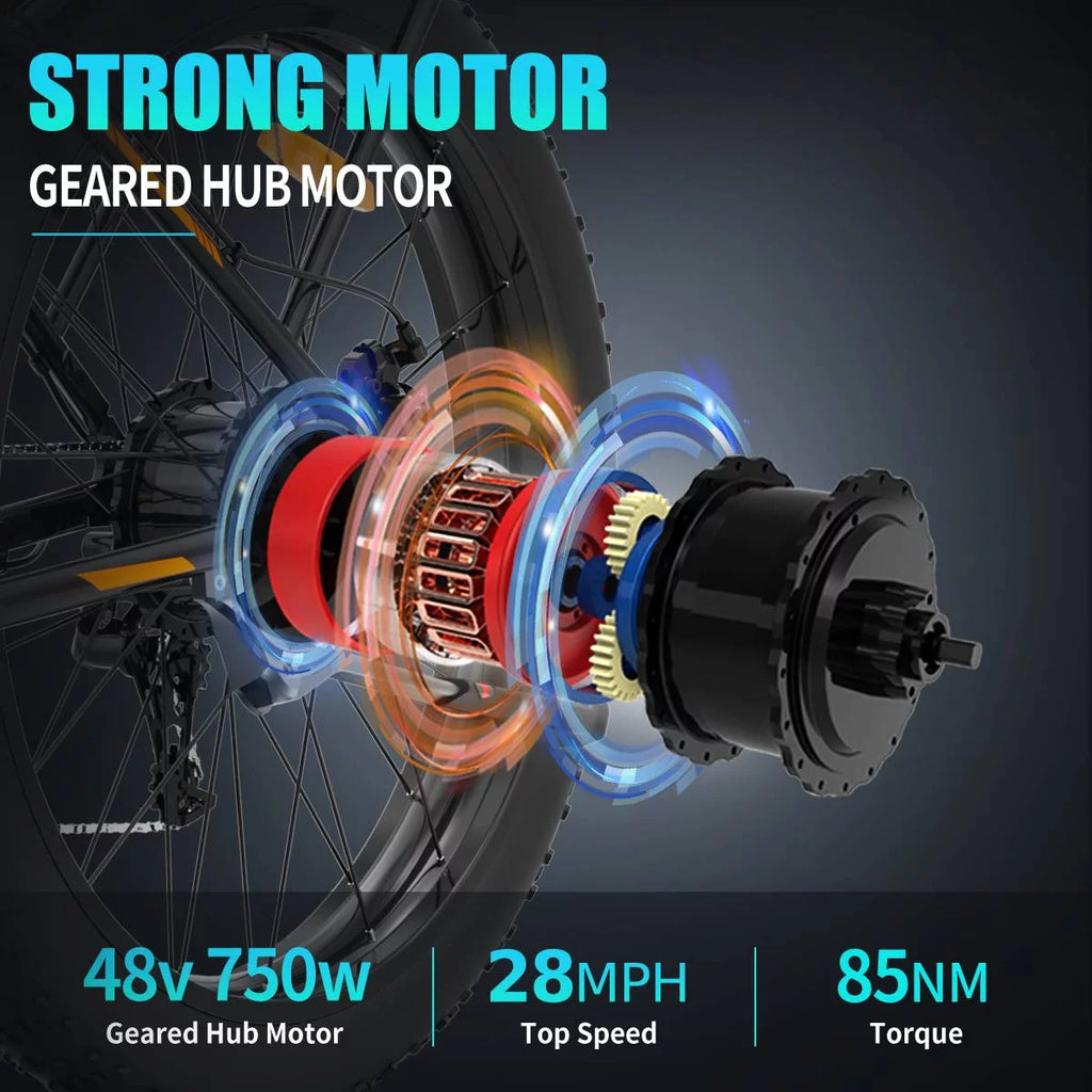750W 48V 13AH Fat Tire Electric Mountain Bike D849784
