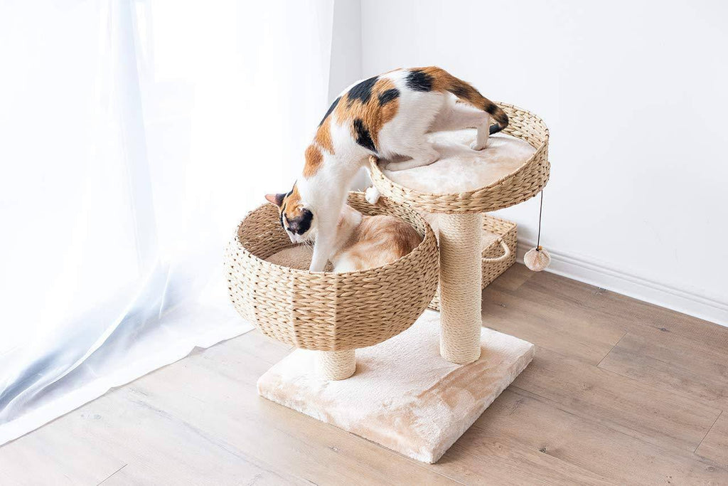 Cat Perch S600