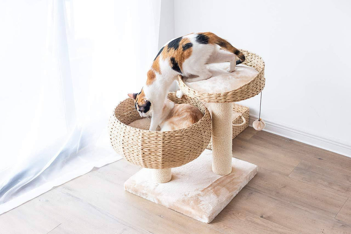 Cat Perch S600
