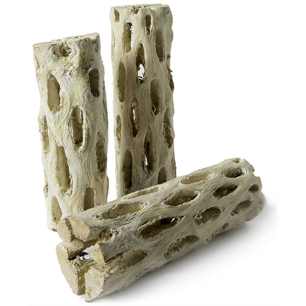Cholla Wood F98725