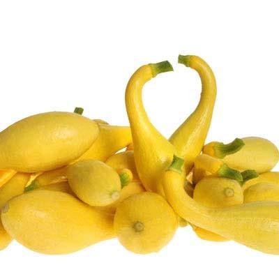 1,000 Seeds Squash J965