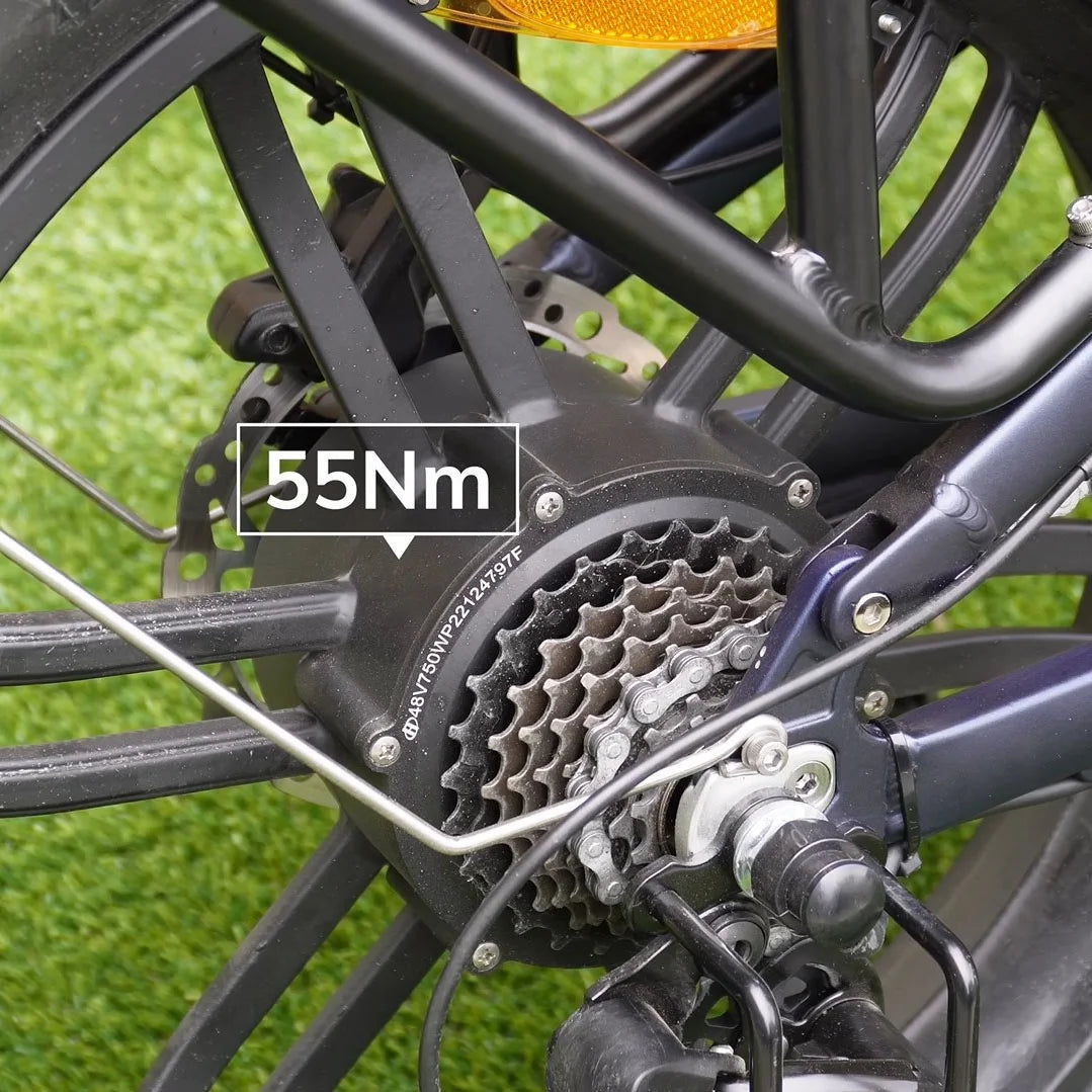 750W 20" Fat Tire 8-Speed Folding Electric Bike Y981