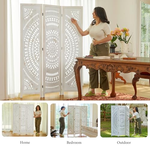 Wood Carved Folding Room Divider Screen 6 Panels F9122