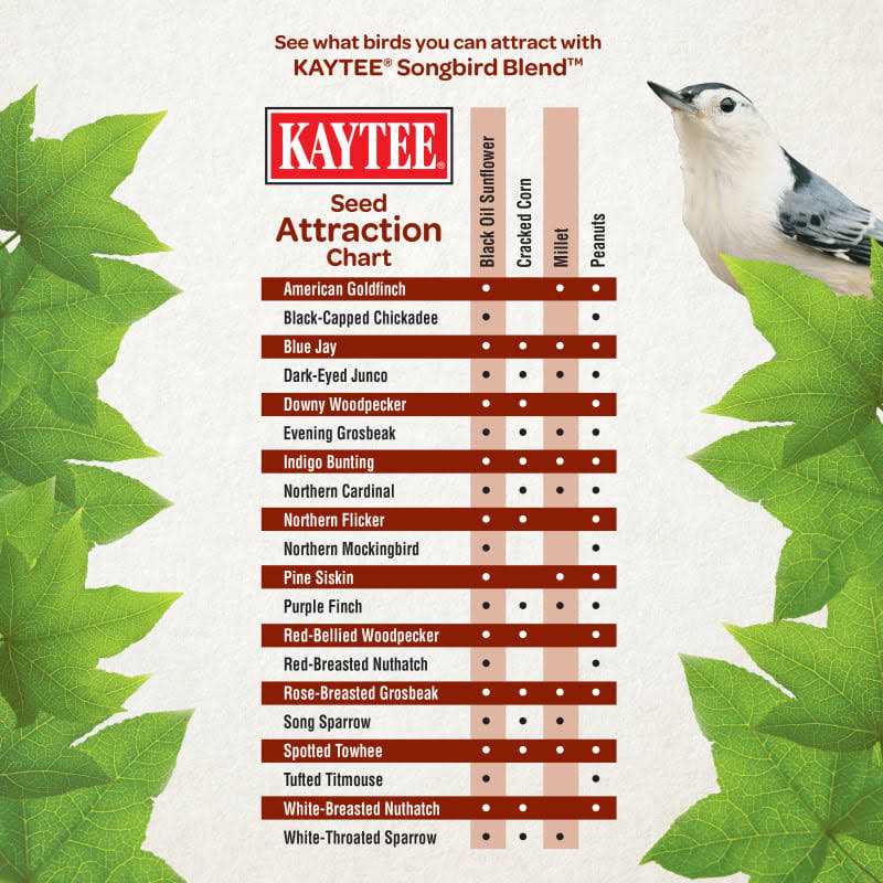 Wild Bird Food F18863