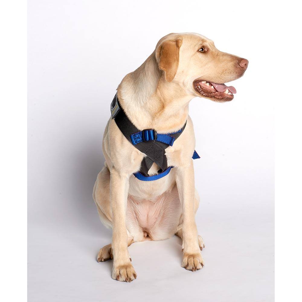 Pink Travel Safe Harness P422643