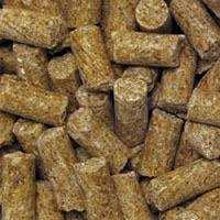Macaw Daily Diet Pellets L550