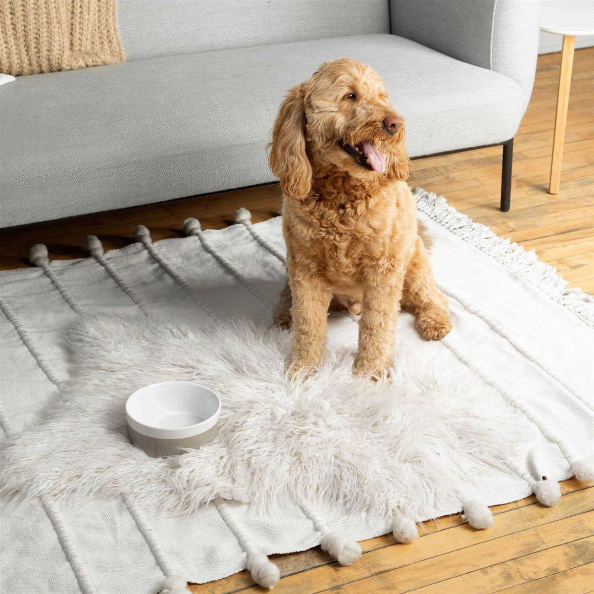 Ceramic Dog Bowl P8197