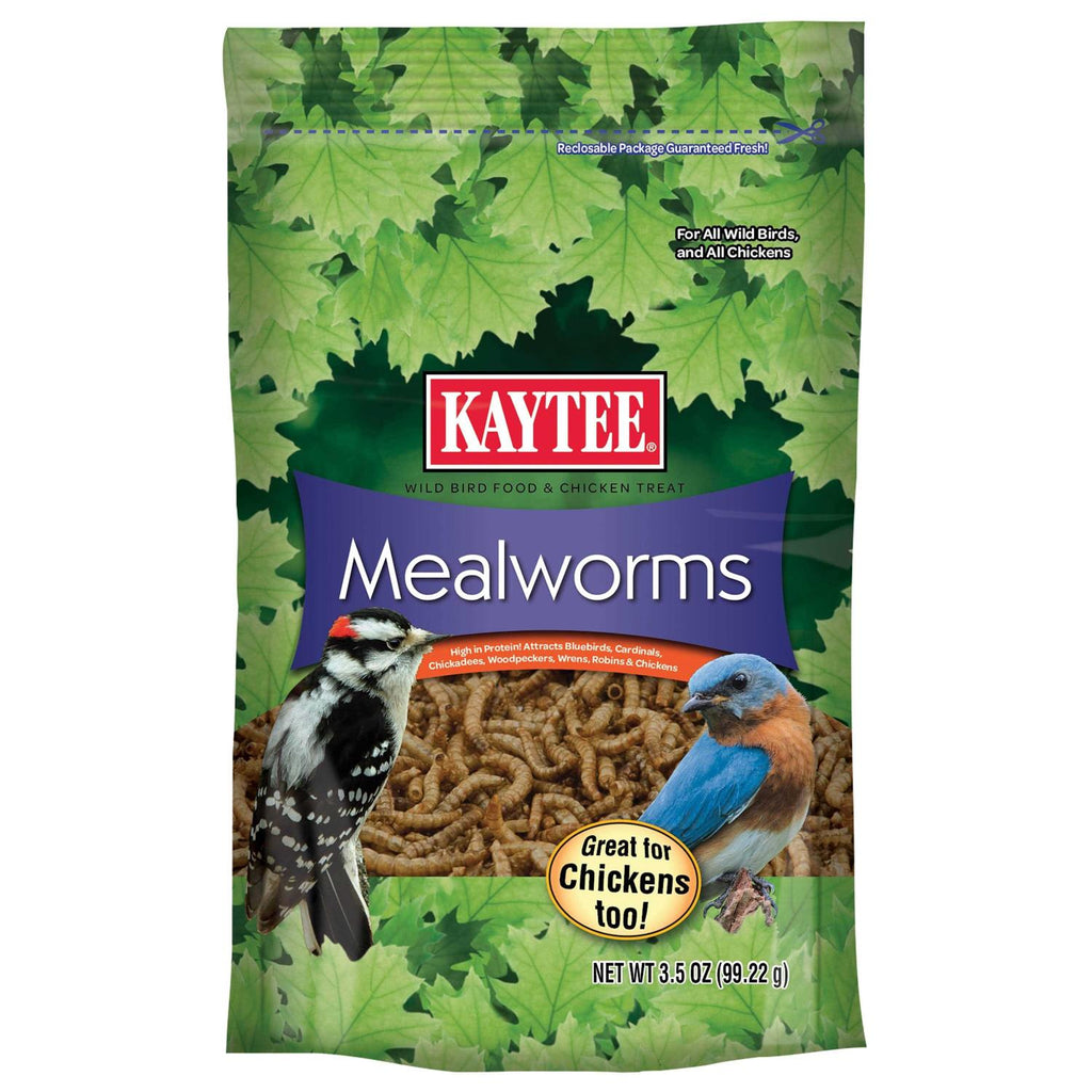 Mealworms Bird Food W141