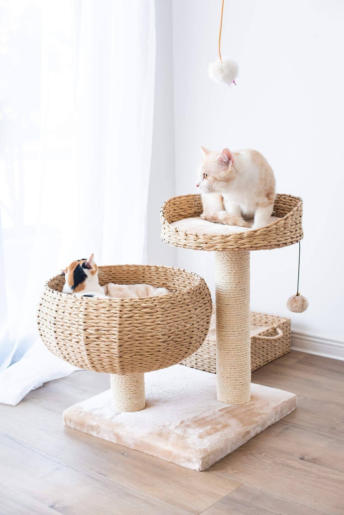 Cat Perch S600