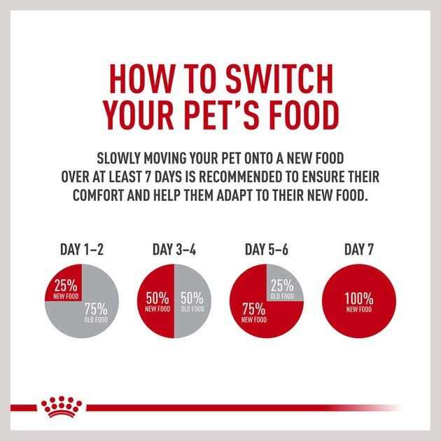 Small Adult Wet Dog Food K85553