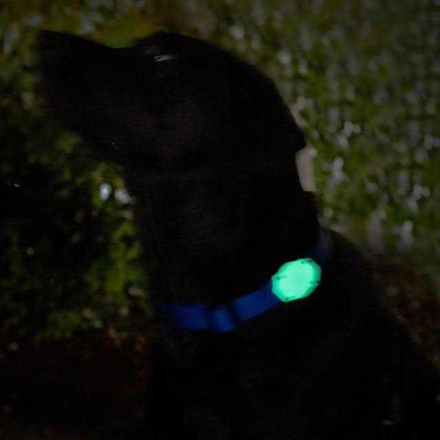 Waterproof AirTag Dog Collar Mount D9348