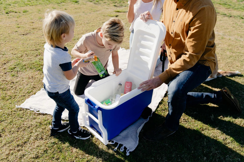38 QT. Hard-Sided Ice Chest Cooler with Wheels, Blue I1878