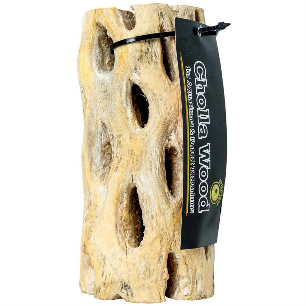 Cholla Wood F98725