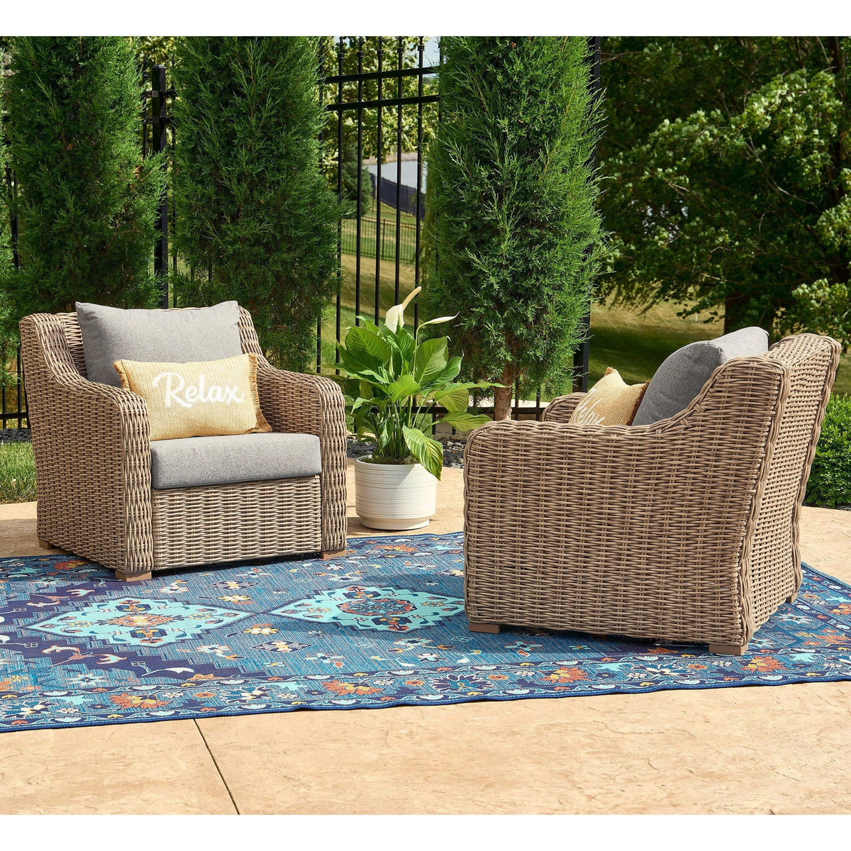 2-Pack Outdoor Lounge Chairs with Cushions and Patio Cover C858906