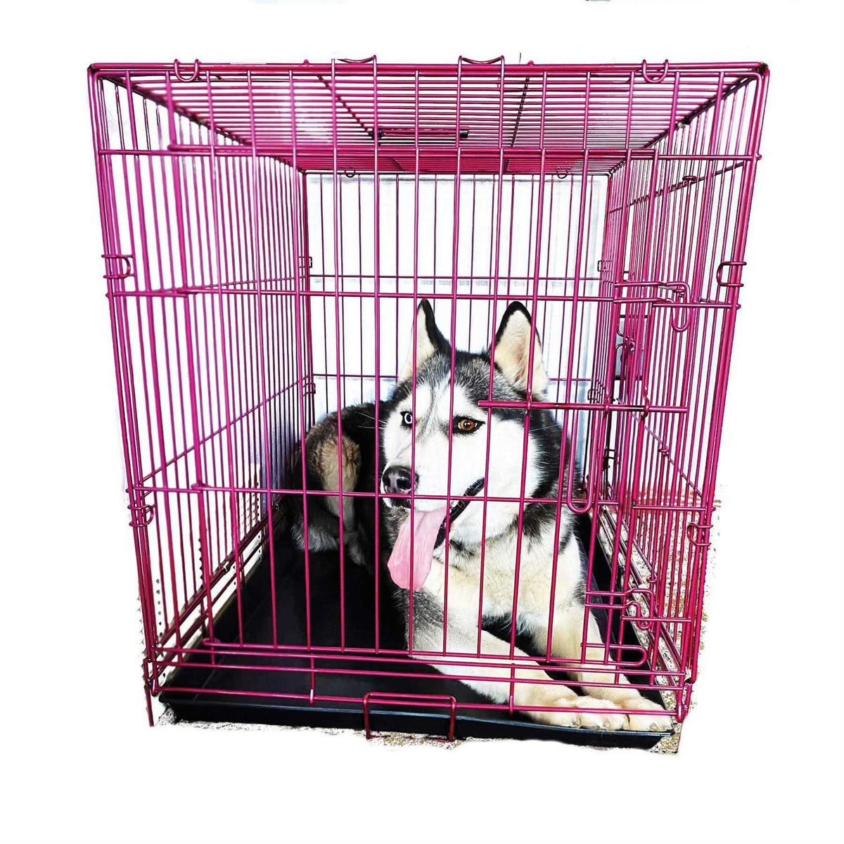 Colored Metal Wire Dog Crate Q284979