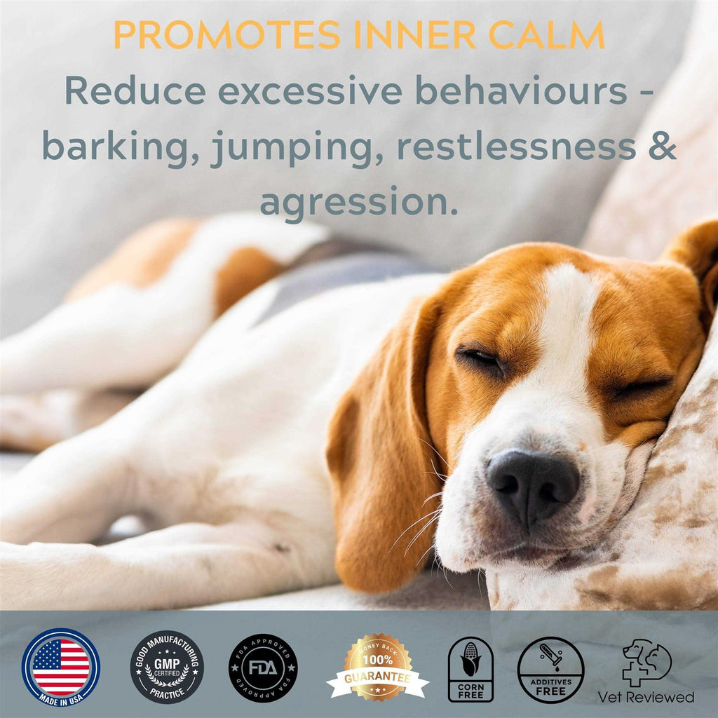 Calming Dog Chews S78813