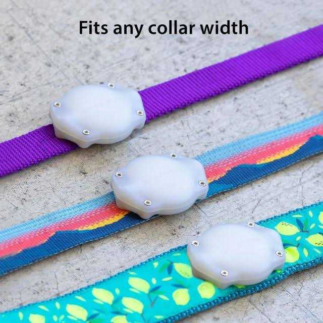 Waterproof AirTag Dog Collar Mount D9348