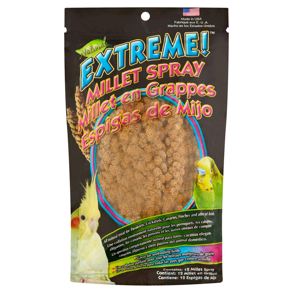 Natural Millet Spray Q28502